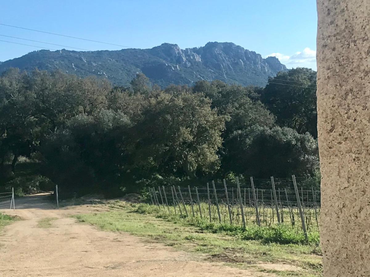 Elegant Country Open Space Deluxe Tenuta Piredu -Monti-Olbia Zewnętrze zdjęcie