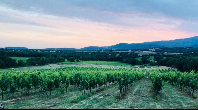 Elegant Country Open Space Deluxe Tenuta Piredu -Monti-Olbia Zewnętrze zdjęcie